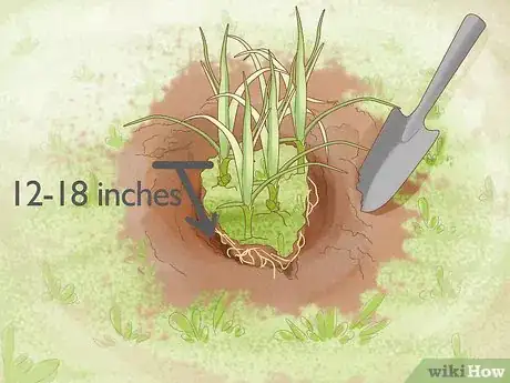 Image titled Get Rid of Nutgrass Step 4