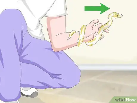 Image titled Build a Relationship with Your Snake Step 9