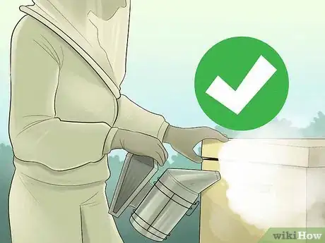 Image titled Get Started Beekeeping Step 16