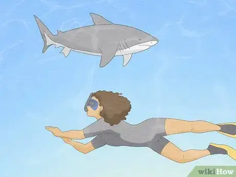 Image titled Get over Your Fear of Sharks Step 21