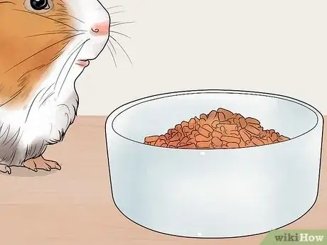 Image titled Get Your Guinea Pig to Lose Weight Step 8