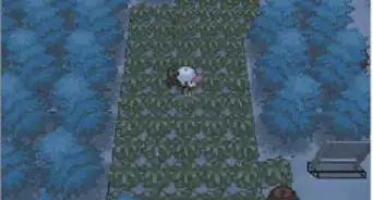 Level up Pokémon in Pokémon Black and White