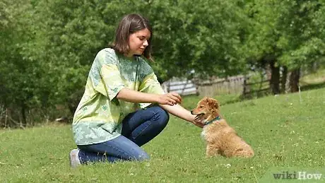 Image titled Discipline Your Puppy Step 1