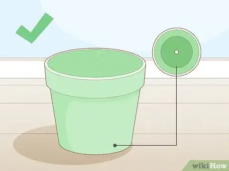 Image titled Get Rid of Gnats in Houseplants Step 10