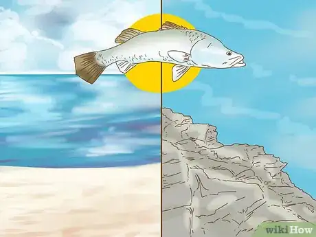 Image titled Catch Barramundi Step 2