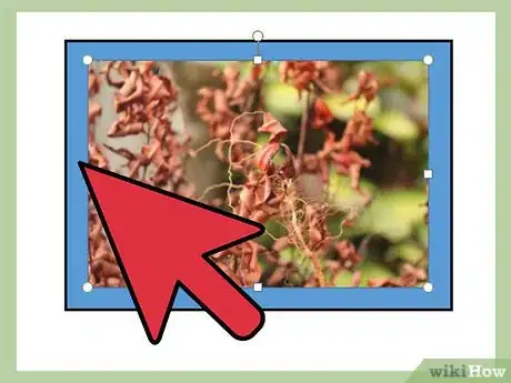 Image titled Crop Graphics in Microsoft Publisher Step 7