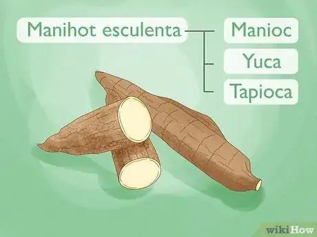 Image titled Cassava vs Yucca Step 5