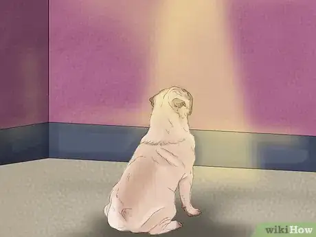 Image titled Stop Your Dog from Being Frightened During a Storm Step 7