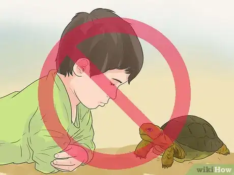 Image titled Take Care of a Land Turtle Step 22