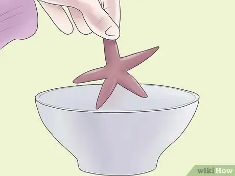 Image titled Preserve a Starfish for a Decoration Step 3