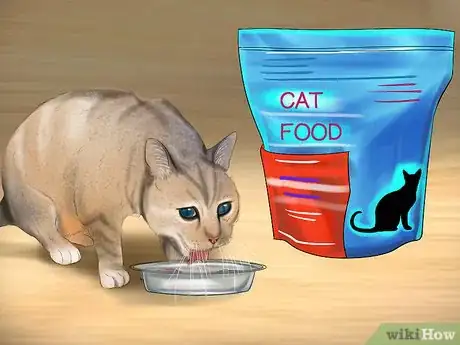 Image titled Choose a Diet for IBD Cats Step 10