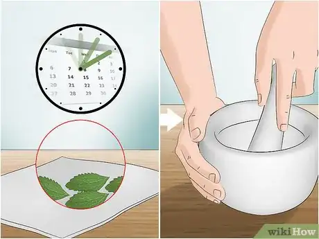 Image titled Use Stevia Step 8