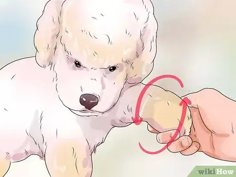 Image titled Help Dogs with Joint Problems and Stiffness Step 9