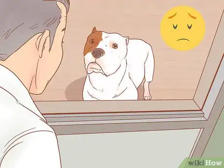 Image titled Get a Dog to Stop Whining Step 4