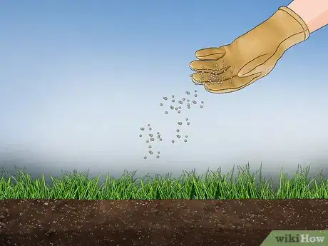 Image titled Grow Grass from Seeds Step 13