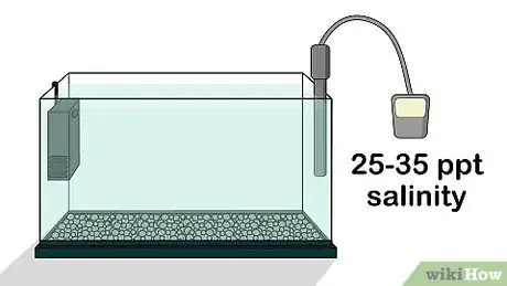 Image titled Grow Copepods Step 4