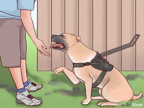 Image titled Register Your Dog As a Service Dog Step 5