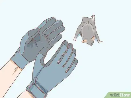 Image titled Catch a Bat in Your House Step 8