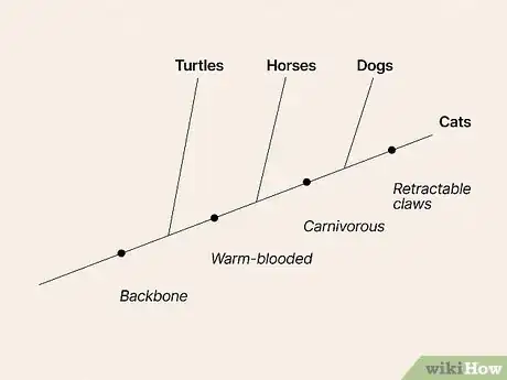 Image titled Read a Cladogram Step 14