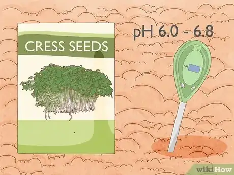 Image titled Grow Cress Step 2