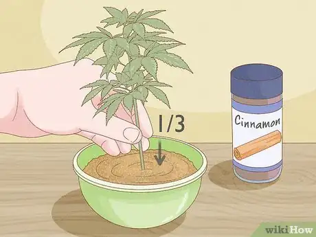 Image titled Clone a Marijuana Plant Without Rooting Hormone Step 6