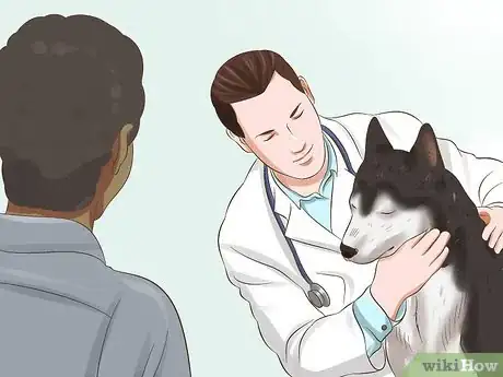 Image titled Protect Your Dog from Poison Hemlock Step 9