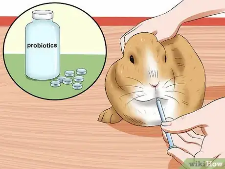 Image titled Treat Digestive Problems in Rabbits Step 15