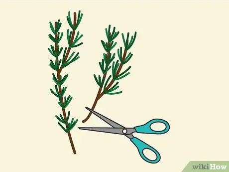 Image titled Grow Cuttings from Established Plants Step 1