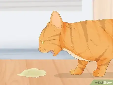 Image titled Tell if a Cat is Pregnant Step 6