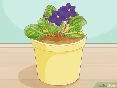 Image titled Make African Violet Soil Mix Step 13