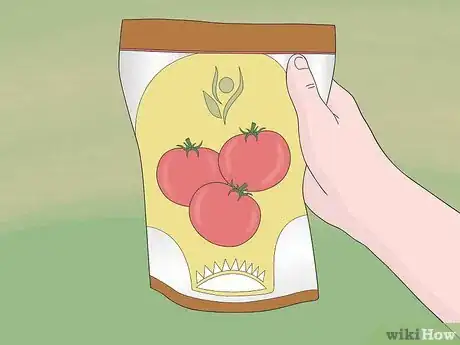 Image titled Grow Tomatoes from Seeds Step 1