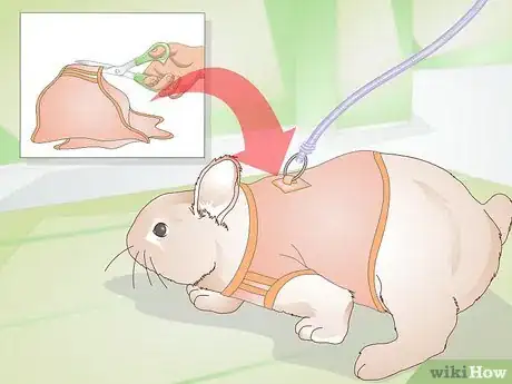 Image titled Make Your Rabbit a Leash Step 12