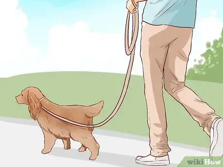 Image titled Train a Cocker Spaniel Step 14