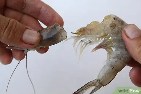 Image titled Freeze Shrimp Step 1