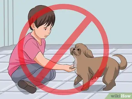 Image titled Train Your Shih Tzu Step 12