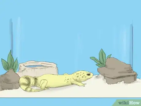 Image titled Care for a Wounded Leopard Gecko Step 5