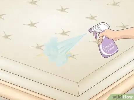 Image titled Get Rid of Urine Smell Step 5