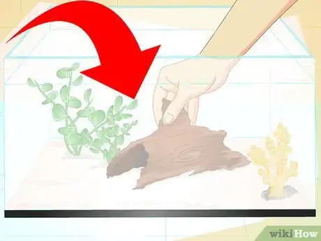 Image titled Make a 5 Gallon Aquarium Interesting Step 16