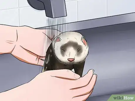 Image titled Bathe a Ferret Step 6