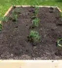 Prepare a Raised Bed Garden