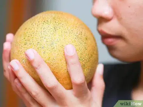 Image titled Buy a Cantaloupe Step 5