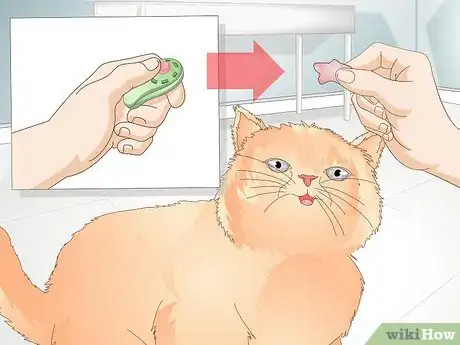 Image titled Teach Your Cat to Give a Handshake Step 7