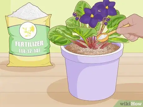 Image titled Make African Violet Soil Mix Step 10