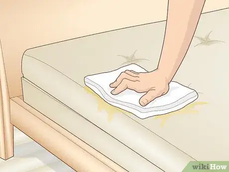 Image titled Get Rid of Urine Smell Step 1