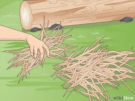 Image titled Start a Fire with Wet Wood Step 1