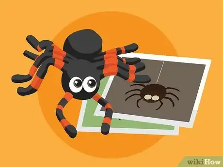 Image titled Overcome the Fear of Spiders Step 04