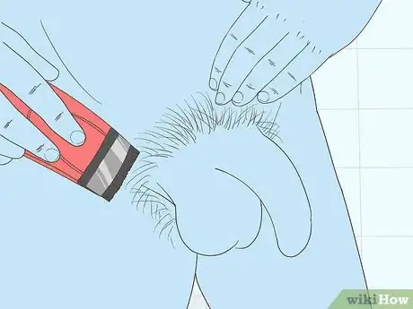 Image titled Shave Your Genitals (Male) Step 3