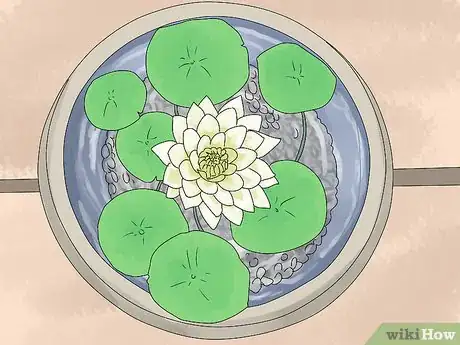 Image titled Grow Water Lilies Step 6