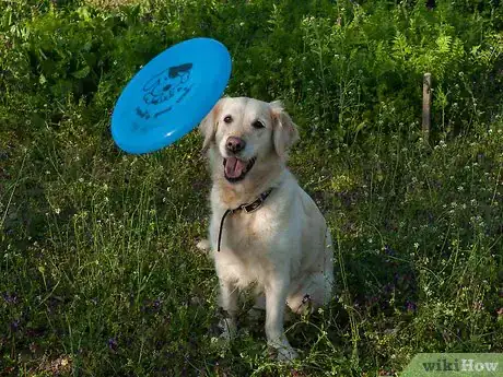 Image titled Teach a Dog How to Catch a Frisbee Step 10