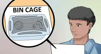 Choose Good Cages for Hamsters